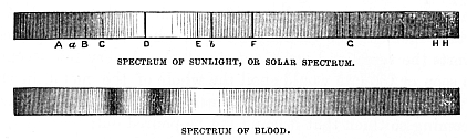 Image unavailable: SPECTRUM OF SUNLIGHT, OR SOLAR SPECTRUM.
SPECTRUM OF BLOOD.