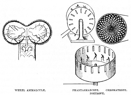 Image unavailable: WHEEL ANIMALCULE.

PHANTASMASCOPE.

CHROMATROPE.

ZOETROPE.
