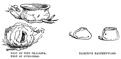 Image unavailable: NEST OF PIED GRALLINA.

NEST OF OVEN-BIRD.

PRIMITIVE EARTHENWARE.