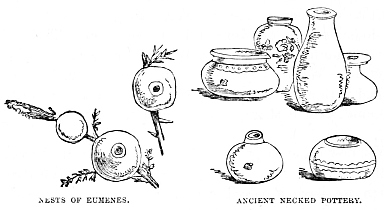 Image unavailable: NESTS OF EUMENES.
ANCIENT NECKED POTTERY.