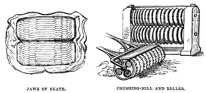 Image unavailable: JAWS OF SKATE.
CRUSHING-MILL AND ROLLER.