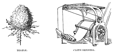 Image unavailable: TEAZLE.
CLOTH-DRESSING.