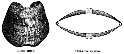 Image unavailable: HORSE-HOOF.
CARRIAGE SPRING.