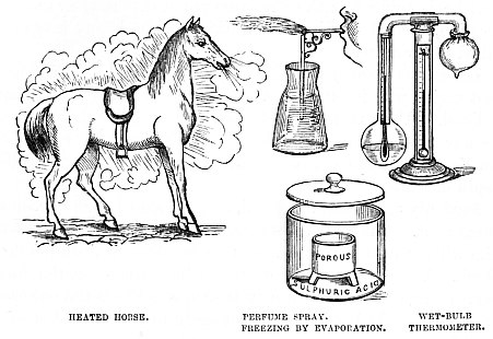 Image unavailable: HEATED HORSE.

PERFUME SPRAY.

FREEZING BY EVAPORATION.

WET-BULB
THERMOMETER.