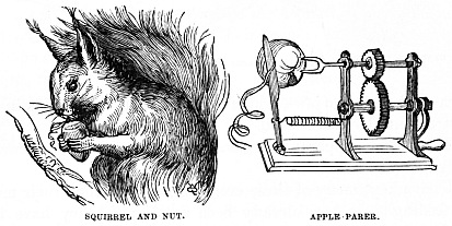 Image unavailable: SQUIRREL AND NUT.
APPLE PARER.