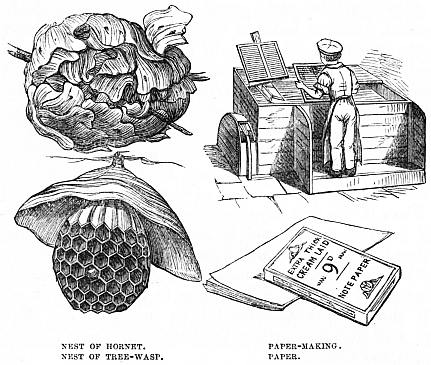 Image unavailable: NEST OF HORNET.         PAPER-MAKING.
NEST OF TREE-WASP.      PAPER.