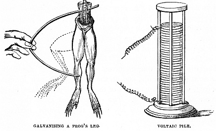 Image unavailable: GALVANISING A FROG’S LEG.
VOLTAIC PILE.