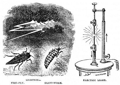 Image unavailable: LIGHTNING.

FIRE-FLY.

GLOW-WORM.

ELECTRIC LIGHT.