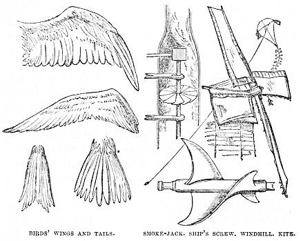 Image unavailable: BIRDS’ WINGS AND TAILS.
SMOKE-JACK. SHIP’S SCREW. WINDMILL. KITE.
