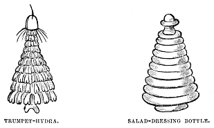 Image unavailable: TRUMPET-HYDRA.
SALAD-DRESSING BOTTLE.