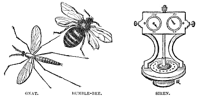 Image unavailable: GNAT.
HUMBLE-BEE.
SIREN.
