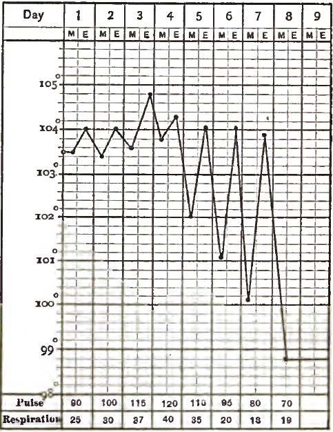 Lobar Pneumonia, where the Crisis was marked
			with Evening Exacerbations