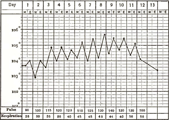 Croupous Pneumonia in the Adult