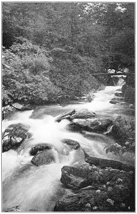 Along Scott&rsquo;s Creek, below Balsam, N. C.