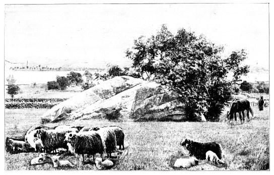 Image unavailable: PULPIT ROCK, CLARK’S ISLAND, FROM WHICH THE FIRST SERMON WAS
PREACHED.