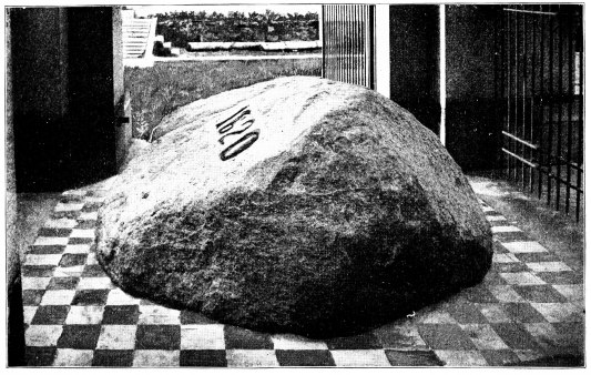 Image unavailable: THE FAMOUS PLYMOUTH ROCK, UPON WHICH THE PILGRIMS FIRST LANDED.
NOW SACREDLY GUARDED AS A SHRINE OF LIBERTY.