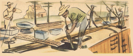 [Image unavailable.]