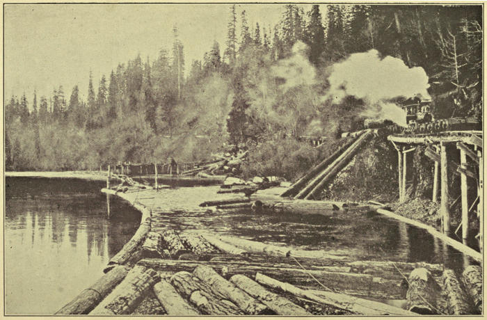 Photograph of logging machinery
by a pine forest and a lake filled with cut logs