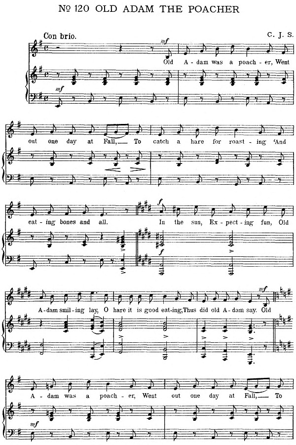 music music