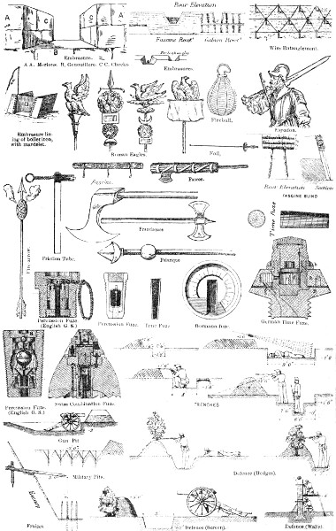 Plate 6