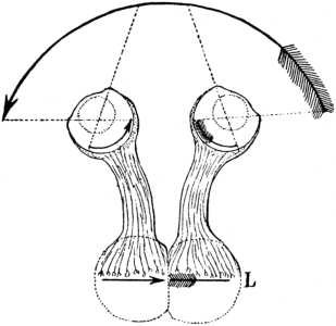 Ilustración