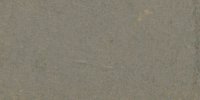 LI_15′′′′′___Mouse_Gray
