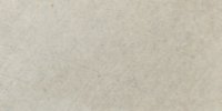 LIII_CG_(10)_Pale_Gull_Gray
