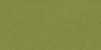 V_27_k_Oil_Green