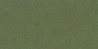 VI_31_m_Cedar_Green