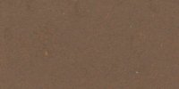 XL_13′′′_k_Natal_Brown