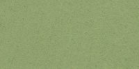 XLI_29′′′___Asphodel_Green