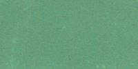 XVIII_35′___Motmot_Green