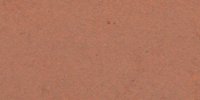 XXVIII_9′′_i_Cacao_Brown