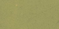 XXXI_27′′_i_Rainette_Green