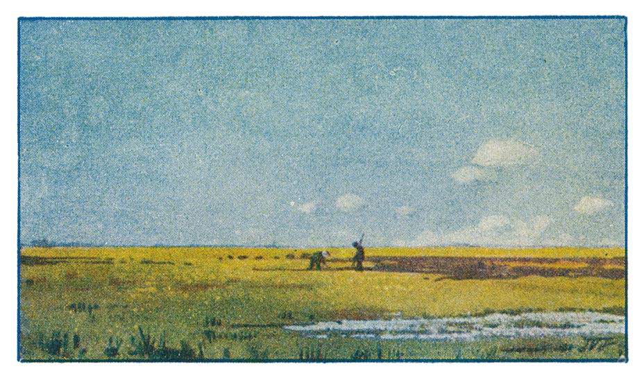 12 VEENBAGGEREN BIJ OLDEHOLTPADE