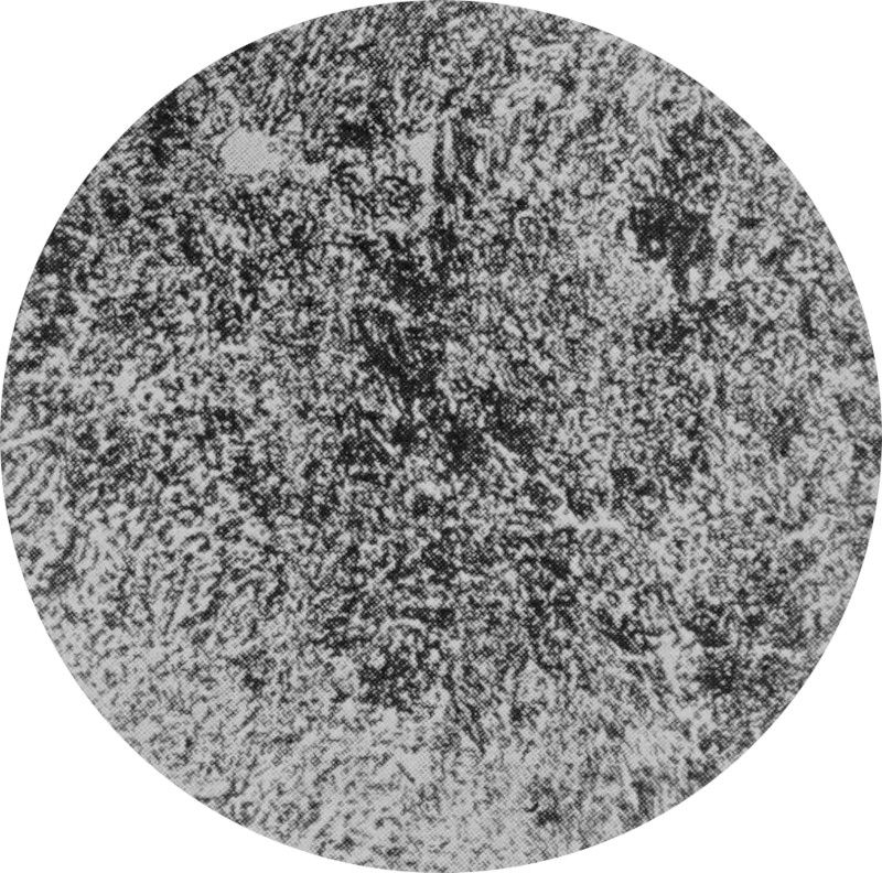 The magnified sectional view of a eutectoid
                steel rod is characterized by finely distributed structures.