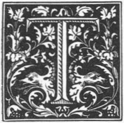 Stylized T