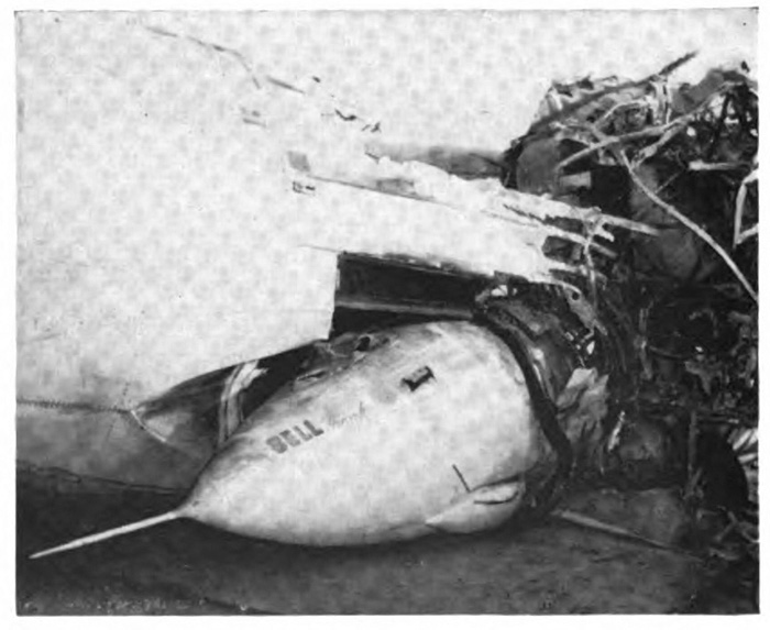 A wrecked plane
